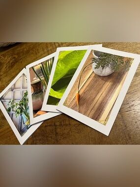 Botanical Photo Greeting Cards - Set of 4